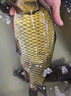 老鬼（OLDGHOST） 魚(yú)餌 草莓香鯽 鯽魚(yú)鯉魚(yú)底浮江河湖庫池塘黑坑魚(yú)食配方釣魚(yú)餌料 【3包裝】草莓香鯽*100g 曬單實(shí)拍圖