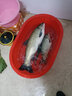 美人魚(yú)（Mermaid） 釣具綁好子線雙鉤仕掛成品線組魚(yú)線-伊勢(shì)尼刺魚(yú)鉤全套組合多功能 伊勢(shì)尼刺3號(hào)魚(yú)鉤子線1.0 曬單實(shí)拍圖