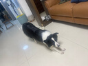 愛犬島沐浴露美國進口寵物狗狗沐浴露貓咪洗澡香波浴液護毛素蓬松柔順 【No.50 蓬松護毛素】250ml 曬單實拍圖