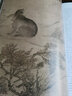 宋代花鳥(niǎo)/歷代經(jīng)典繪畫(huà)解析 曬單實(shí)拍圖