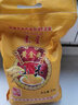 塞星山西右玉特產(chǎn)黃小米月子米五谷雜糧米營(yíng)養粥稀飯新米小米粥 黃小米2500g 曬單實(shí)拍圖