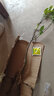 橙子樹(shù)苗地栽果樹(shù)苗橙子苗 紅肉臍橙 黃肉臍橙 血橙南方北方種植 贛南橙4年壯苗 50cm(含)-60cm(不含) 曬單實(shí)拍圖