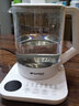 山水（SANSUI）日本山水養(yǎng)生壺辦公室燒水壺家用迷你1.5L煮茶器電熱開水壺預約保溫帶濾網團購送禮公司福利送長輩 白色 1.5L 曬單實拍圖