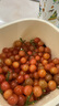 迭果四川櫻桃攀枝花米易小櫻桃瑪瑙紅國產(chǎn)土車(chē)厘子新鮮水果順豐空運 0g(凈重) 縣鄉鎮村勿拍 土櫻桃500g 曬單實(shí)拍圖