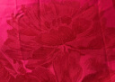 富安娜床上四件套婚庆提花纯棉床上用品大红套件1米5/1米8床(203*229cm) 实拍图