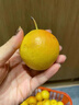 京鮮臻攸正宗遼寧鞍山南果梨 新鮮當季香水紅皮梨東北特產(chǎn)南國梨整箱禮盒 嚴選果5斤【實(shí)惠自吃無(wú)禮盒】 曬單實(shí)拍圖