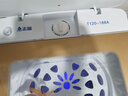 志高（CHIGO）15公斤脫水機(jī)甩干機(jī)大容量甩干桶小型單脫水宿舍租房單缸單甩家用迷你嬰兒脫水桶 15kg【不銹鋼內(nèi)桶加藍(lán)光】（玻璃蓋）大容量款 曬單實(shí)拍圖