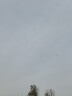 百特风筝潍坊伞布碳杆大草原风筝大三角儿童成人新款易飞大气 1.6米草原+18绿轮400米线 实拍图