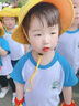 樂(lè )宇軒幼兒園小黃帽小芽小學(xué)生郊游圓頂兒童帽日系帽子透氣帶網(wǎng)眼漁夫帽 綠芽小黃帽1頂 （春夏款） 曬單實(shí)拍圖