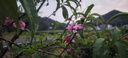 寶克（BAOKE）【開(kāi)學(xué)季】PC1922 臻軟握按動(dòng)中性筆黑色0.5mm子彈頭大容量水筆 學(xué)生考試刷題筆 文具 0.5mm【臻軟握護手刷題寫(xiě)字筆】PC1922 12支/盒裝 包郵 曬單實(shí)拍圖