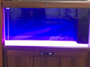 漢霸 超白玻璃魚(yú)缸生態(tài)底濾客廳大型家用智能金魚(yú)缸水族箱2025新款 柚木色 靠墻1.18米X52cm寬X160cm高 曬單實(shí)拍圖