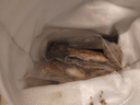 超大魷魚生鮮活新鮮深海冷凍水產(chǎn)大魷魚尤魚整只燒烤批發(fā) 3斤 海捕整只大魷魚 曬單實拍圖
