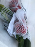 蔬香客 圣女果水果黃瓜組合新鮮蔬菜水果番茄荷蘭乳瓜千禧凈重4.7-5斤 圣女果5斤裝 曬單實(shí)拍圖