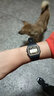 卡西歐（CASIO）男女學(xué)生ins風(fēng)復(fù)古小方塊兒童表F-91WC-2A/4A/4A2 1B 7A 9A電子表 F-91W-9Q黃邊 【附加貼膜】 曬單實(shí)拍圖
