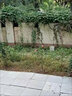 41%草甘膦異丙胺鹽50斤除草劑草銨膦果園荒地茶園除雜草爛根農(nóng)藥 25kg 曬單實(shí)拍圖