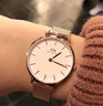 丹尼爾惠靈頓（DanielWellington）DW表帶原裝14mm鋼鏈按扣女款（適用于32mm表盤(pán)系列） DW00200139 曬單實(shí)拍圖