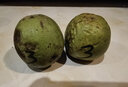 老農(nóng)哥【現(xiàn)貨】淶水文玩核桃賭青皮麻核桃產(chǎn)地大樹果獅子頭把件新果 大官帽63-64mm一對 曬單實拍圖