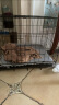 宠乐乖（CHONGLEGUAI） 狗笼猫笼 狗笼子中小型犬幼犬加粗加密折叠便携猫笼子猫咪500ZG 实拍图