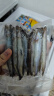 百年渔港 冷冻多春鱼大号1kg 40-50条（满籽）生鲜 实拍图