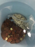 邊勝珊瑚骨濾材優(yōu)質(zhì)珊瑚砂魚(yú)缸過(guò)濾材料菲律賓珊瑚沙提高PH濾材海水 精選高端條狀1斤+網(wǎng)袋 曬單實(shí)拍圖