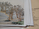 中國好丹青大師冊頁(yè)精品復制系列 原大級高清大圖 沈周畫(huà)集 曬單實(shí)拍圖