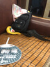 迪卡儂（DECATHLON）路亞5枚裝鉛頭鉤路亞軟餌血槽鉤鱖魚翹嘴鱸魚CAP 5 3.g魚 其他 曬單實(shí)拍圖