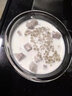 億特藍玻璃雪糕杯冰淇淋杯甜品沙拉杯奶昔杯加厚透明冰激凌杯果汁冷飲杯 【170ml雪糕碗+勺子】 曬單實拍圖
