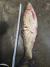 連球 魚鉤散裝伊勢尼有倒刺釣魚鉤大全 海夕（有刺）30枚裝 10 曬單實拍圖