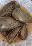 撈時(shí)代油燜港椒即食腌辣椒咸菜下酒菜醬菜油泡辣椒佐餐下飯菜油泡椒 紅油港椒【500g*3袋】 曬單實(shí)拍圖