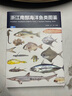 2024新書 旗艦戰(zhàn)法 喬諾咨詢安浩金世俊劉原著中國式增長方式書籍旗艦產(chǎn)品打造底層理念與核心方法論商業(yè)戰(zhàn)略思維金字塔原理書籍清華大學出版社 曬單實拍圖