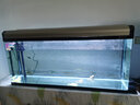 博宇（BOYU）免換水大魚(yú)缸80水族箱生態(tài)缸帶增氧過(guò)濾器金魚(yú)溪流柜客廳家用一體 鋁合金香檳色 標配（免費上樓） 120長(cháng)30寬58高缸(增氧過(guò)濾)【景柜需另購】 曬單實(shí)拍圖