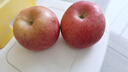 遇見(jiàn)憫農冰糖心蘋(píng)果大漠富士新疆蘋(píng)果源頭直采送禮佳品家庭必備新鮮水果 凈重4.5斤 優(yōu)選大果（200g起） 曬單實(shí)拍圖