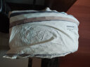九洲鹿枕套全棉纯棉枕头套一对装 北欧风ins风双人整套枕芯外套 实拍图