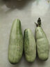 壽禾甜瓜種子山東脆酥壽光博洋大白沙蜜大全水果冬春季播種植早熟 羊角蜜甜瓜種子 300粒 曬單實(shí)拍圖