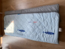 南极人学生宿舍床垫子被褥铺底单人品牌前十名褥子加厚垫被90x190x200 幸运星-白【亲肤舒适面料】 90x200cm【久睡不塌易陷】 实拍图