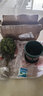 蓋淘清香木胡椒木驅蟲(chóng)盆栽綠植植物室內四季常青凈化空氣盆景花卉 紅花清香木（驅蚊蟲(chóng)） 5年苗（1顆當年開(kāi)花）+塑料盆 曬單實(shí)拍圖