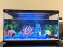 瑾倫魚(yú)缸底砂造景底沙水族箱裝飾石頭白沙水晶砂白石子五彩石雨花石 海藍玻璃珠1斤 曬單實(shí)拍圖