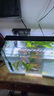 西游水族魚缸水族箱客廳小型迷你桌面免換水生態(tài)造景小金魚缸熱彎超白玻璃 長50*寬26*高30-水秀青山款造景全套 曬單實拍圖