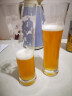 肖特圣维莎（SCHOTT ZWIESEL） 德国原装进口 啤酒杯 精酿啤酒杯 无铅水晶啤酒杯 进口啤酒杯 451mlx6只（整盒） 实拍图