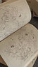【套裝3冊】白描畫譜5000例 上中下 花卉蔬果/禽鳥走獸/人物魚蟲 曬單實(shí)拍圖