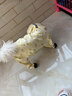嬉皮狗（hipidog）寵物水果滿印小狗四腳雨衣連帽雨披泰迪比熊博美小型犬全包款衣服 洛克黃（升級全包款） XL（建議12-16斤） 曬單實拍圖