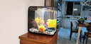 biOrbFLOW30L英國小魚缸生態(tài)桌面魚缸水族箱迷你客廳小型創(chuàng)意水族箱 黑缸MCR燈+圖片造景1 曬單實拍圖