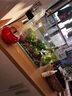 森悠（SARYOR）魚缸懶人沉木水榕造景裝飾活體植物水族箱真水草套餐淡水增氧水草 三頭黃金榕沉木 曬單實拍圖