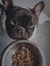 GOFINE全價(jià)營(yíng)養鮮肉濕糧狗飯小型犬寵物柴犬主食狗糧鮮糧罐頭狗狗零食 三文魚(yú)佐南瓜燉雞肉120g 12袋 曬單實(shí)拍圖