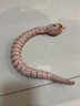 玩控 電動遙控仿真蛇玩具 動物模型 整人整蠱道具 響尾蛇【橙色】 曬單實拍圖