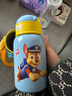 迪士尼兒童保溫杯嬰幼兒寶寶帶吸嘴水壺不銹鋼316小學(xué)生直飲雙飲水杯壺 6650艾莎雙飲保溫杯 560ml 曬單實(shí)拍圖