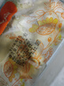 金早綠點 早茶早餐點心港式宵夜糯米包20個1.5千克 曬單實拍圖