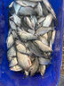 達摩 浮漂KC空心軟尾鯽魚漂4片孔雀羽毛8目軟尾輕口滑口魚釣魚浮標 KN03（9目軟尾） 2號 曬單實拍圖