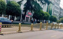 世騰市政蓮花道路護欄中央隔離欄城市人行道分流防護交通金色欄桿 1.2米高 曬單實拍圖