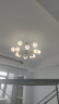 雷士（NVC）吊灯魔豆分子灯客厅北欧灯具灯饰创意现代轻奢12头吊灯 实拍图